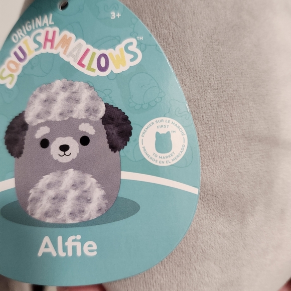 NWT Alfie The Poodle 8" Squishmallow First To Market Edition Rare - Picture 3 of 8